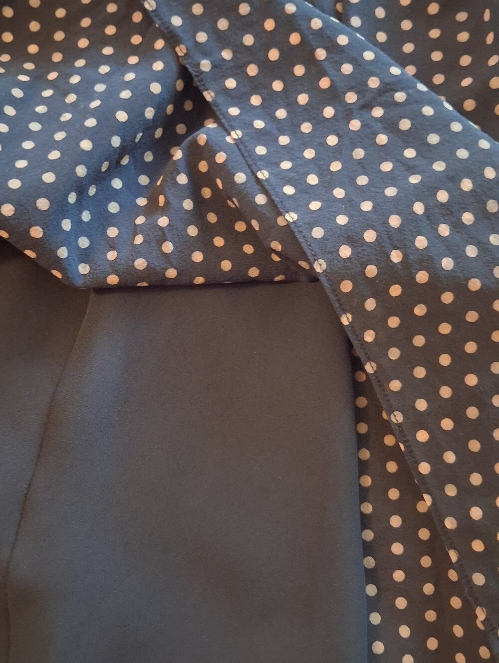 Black Silk Polka Dot Pleated Skirt Button Up Dress - Picture 5 of 7